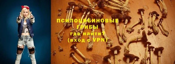крисы Абинск