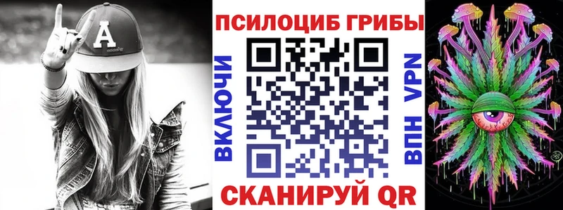 как найти закладки  Осташков  Псилоцибиновые грибы MAGIC MUSHROOMS 